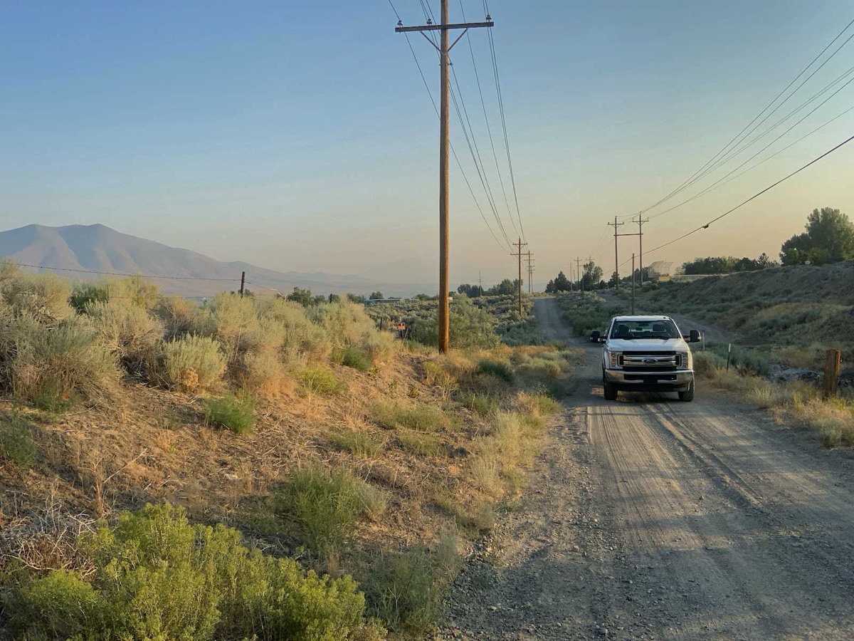 Electric utility poles along a rural distribution corridor