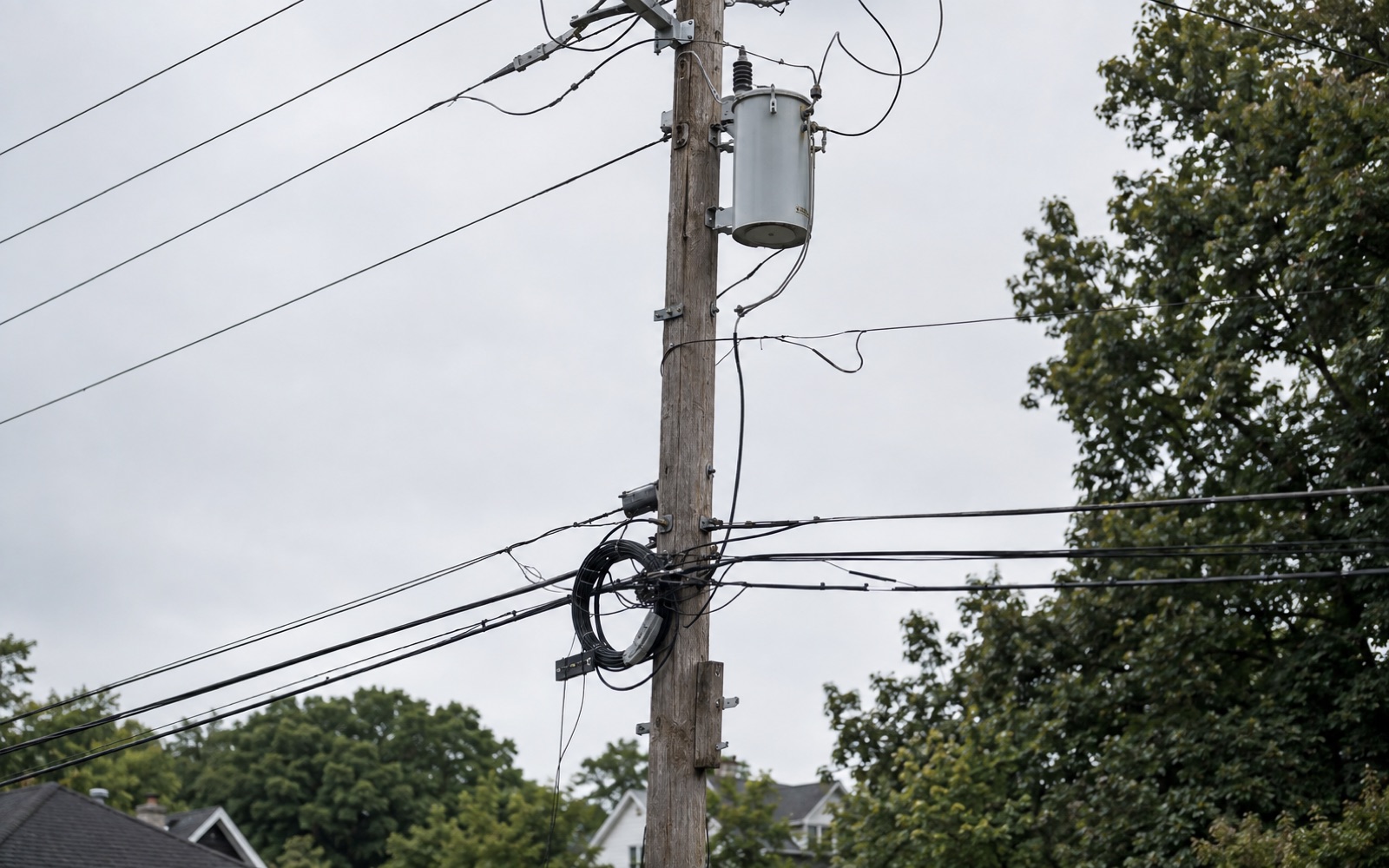 Joint-use distribution pole: transformer and primary conductors up top, communications lines and a fiber service coil in the lower attachment space
